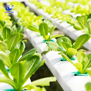 Tubería de diseño modular, sistema de cultivo hidropónico sin suelo para cultivo hidropónico de alto rendimiento y ahorro de agua - Product Image 3