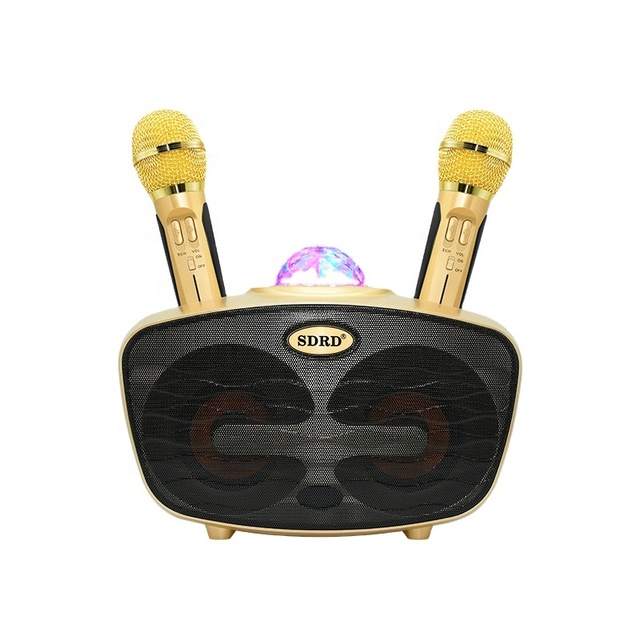 SD-315 Altavoces Discoteca Mini Karaoke Machine with 2 Wireless Microphones Party bluetooth Speaker with Led Disco Light