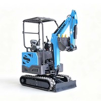 Mini-excavatrice avec moteur Kubota, 2 tonnes, rotation latérale, compacte, sur chenilles, pour jardin, ferme, construction, aménagement paysager, prix d'usine