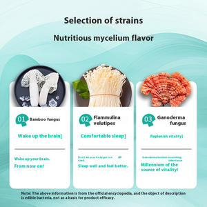 Myzel Super food Pulver | Ersatz für Bio-Mahlzeiten und probiotisches Fermentation getränk | 300g Box | Vegan & Gut Gesundheit - Product Image 3