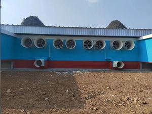 Nouvel équipement d'élevage porcin PH Automatic System pour truies - Product Image 5