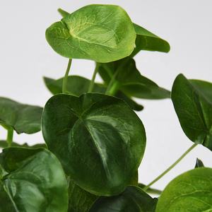 Hunan Zhangjiajie Fuyuan Yiwu popular mini bonsai plástico eucalipto lenteja de agua plantas en maceta para hotel tienda biblioteca decoración del hogar - Product Image 4