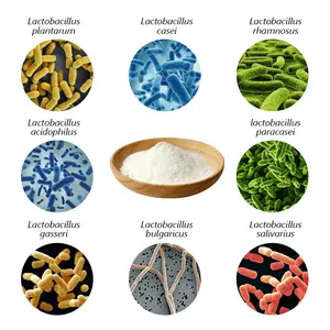 AMULYN Food Additives Probiotic Lactobacillus Rhamnosus Powder For Constipation Management