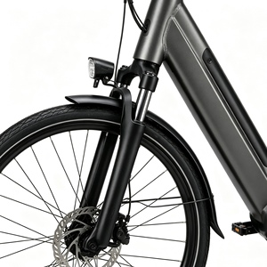 Bicicleta Eléctrica Urbana Modelo M10, Motor Trasero de 250W, 7 Velocidades, Cuadro de Acero, Batería de Litio Integrada, Asistencia al Pedaleo, Rueda de 28 Pulgadas, 48V - Product Image 3