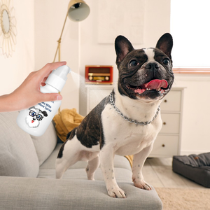 Huiles Essentielles Végétales Personnalisées Sous Marque Privée – Gouttes <span class=keywords><strong>Anti</strong></span>-<span class=keywords><strong>Puces</strong></span> <span class=keywords><strong>et</strong></span> <span class=keywords><strong>Tiques</strong></span> <span class=keywords><strong>pour</strong></span> Chats <span class=keywords><strong>et</strong></span> Chiens 175ml – En Stock - Product Image 5