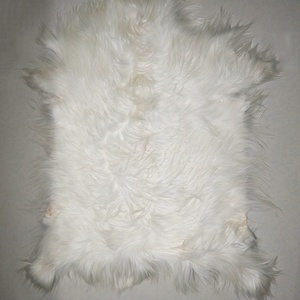 Piel de cabra de pelo largo al por mayor de fábrica china, piel de oveja mongola auténtica sin procesar, placa de piel de oveja tibetana de pelo largo, piel de cabra de pelo largo - Product Image 2