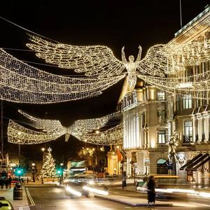 Luz LED cruzada personalizable, impermeable IP65, para decoración comercial interior y exterior, navideña y de temporada. - Product Image 2