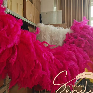 Knallpinke Federboa 800G Schwere Boa Ganzes Stück Straußenfederboa für Kleidung Schal Hochzeitsschal Accessoires - Product Image 1