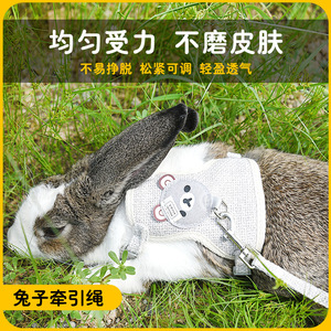 Gilet d'extérieur pour lapin Crown Asia, laisse réglable et respirante pour petits animaux - Product Image 1