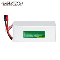 GAONENG GNB 6S 22.2V 24000mAh 40C 80C XT150 RC LiPo Batterie Large Scale FPV Drone Agriculture Quadcopter UAV Aircraft Airplane