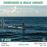 Factory Surf Skinny Series AXIS Carbon SURF SKINNY 320/48 Rear Hydrofoil Wing Tail Wing Unisex untuk Perairan Laut