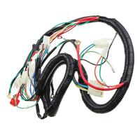 Ensemble de câblage pour stator de moto et quad, bobine électrique à âme en cuivre, isolation PVC, avec adaptateur et connecteur, tension OEM, fabriqué en Chine (GUA)
