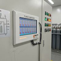 Sistema de Alarma y Regulador de Presión de Múltiples Gases, Equipo de Monitoreo Centralizado para la Seguridad Industrial