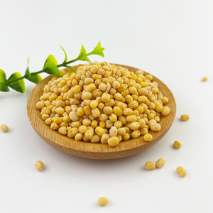 Venta al por mayor orgánico verde Mung Vigna frijoles tamaño grande 1000 kg suministro a granel de China frutos secos y frijoles para la venta - Product Image 6