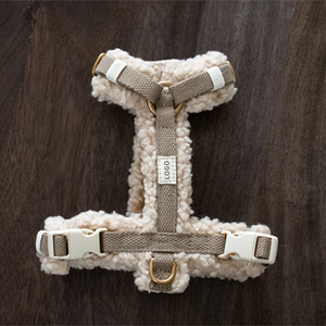 Produsen desain modis lembut mewah Sherpa disesuaikan dengan paduan Teddy Velvet dipersonalisasi <span class=keywords><strong>Harness</strong></span> anjing disesuaikan - Product Image 1