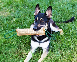 Kingtale Beißkissen Jute Beißwurst Robustes Hundespielzeug Beißarm Stock Trainingsausrüstung - Product Image 3