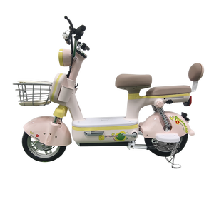 Vélo Électrique Pliant pour Adultes avec Pneus Larges, Moteur 48V 500W, pour Livraison, Importateur Népal, Accessoires de Tricycle - Product Image 2