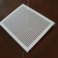 0.3mm 0.5mm petit trou poinçon écran maille feuille en acier inoxydable perforé métal plaque maille perforée rouleau