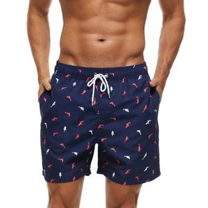 Shorts de bain pour hommes, séchage rapide, shorts de plage d'été, shorts de bain pour hommes pour la plage - Product Image 1