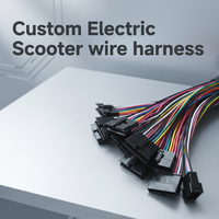 Kabel Konektor Skuter Listrik Elektronik Shanyou Kustom JST SH/ZH/PH/XH/VH Rakitan Kabel Harness 1.0/1.5/2.0/2.5mm Pitch