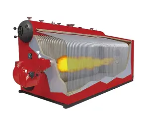 Hot Sale automatic SZS Series Condensation Steam Boiler