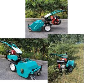<b>Walk</b>-Behind Lawn Mower: Small-Sized <b>Machine</b> with Grass Shredding Capability - Product Image 6