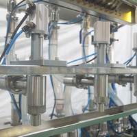 Ligne automatique de machine de remplissage de javel de nettoyant de liquide de chlore acide anti-corrosif de bouteille en plastique