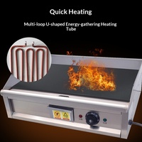 Plaque de cuisson électrique professionnelle, gril polyvalent pour stand de rue, idéal pour le riz frit, les nouilles froides et les crêpes aux œufs
