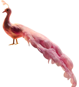 Plumas de Pavo Real de Alta Calidad para Decoración de Ventanas, Adorno de Plumas de Pavo Real Personalizado, Pavo Real Blanco con Flor - Product Image 3
