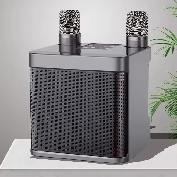 YS203 Mini Bluetooth Speaker with Microphone Wireless Speaker Portable Karaoke Outdoor Party Karaoke Speaker