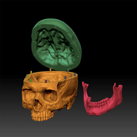 Ornement de maison, artisanat en résine, figurine de crâne humain en impression 3D pour l'école de médecine