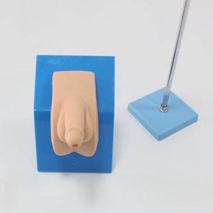 Mô Hình Ống Thông Niệu Đạo Nam Đeo Được Nâng Cao Khoa Học Y Tế H28E - Product Image 6