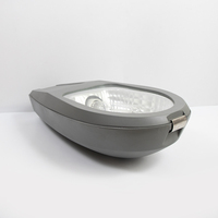 Ampoules halogènes étanches IP66 pour extérieur, lampadaires AC, ABS, CRI élevé 70, personnalisation, 220V 320V, garantie 2 ans, gris
