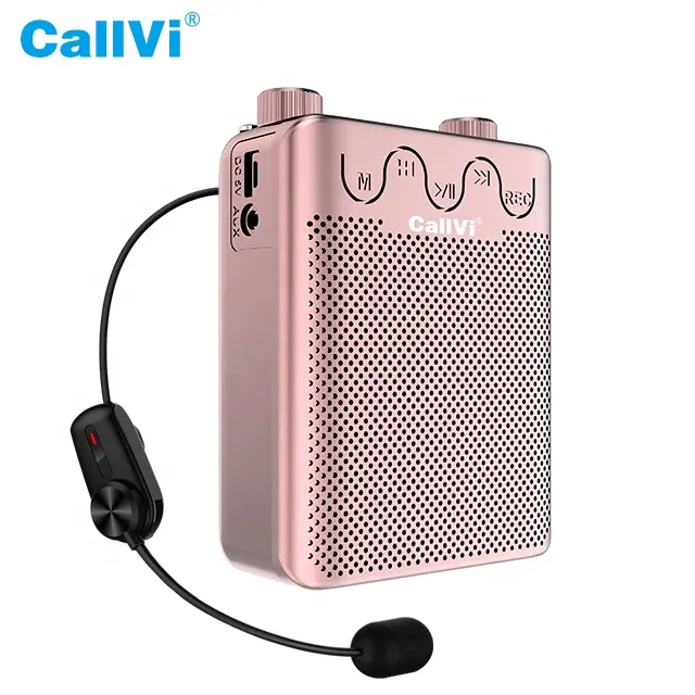 CallVi V-807 BuiltインFmラジオワイヤレスマイク充電式ミニオーディオスピーカーアンプ