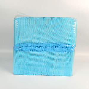 <b>Puppy</b> Training <b>Pads</b> CDHB Brand Certified Super Absorbency Japan SAP Waterproof Dog <b>Pad</b> - Product Image 1