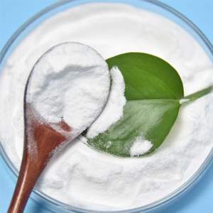 Polvo probiótico de grado alimenticio altamente activo Lactobacillus Paracasei - Product Image 5