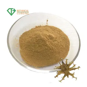 Pure Harpagophytum Procumbens Harpagoside 2% Devil's Claw Extract Powder