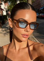 Lunettes de soleil rétro pour femmes, petites lunettes de soleil rectangulaires de style œil de chat, verres teintés de couleur tendance, protection UV400, monture vintage en écaille de tortue