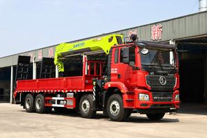 Grue télescopique SHACMAN 16 tonnes Zoomlion à bras à cinq sections haute efficacité, hauteur de levage 20,5 m, pompe incluse pour l'exploitation minière - Product Image 2