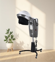 Appareil à vapeur multifonctionnel à micro-brume pour les cheveux Équipement de salon Accélérateur de sèche-cheveux avec LED Machine de spa pour cheveux debout