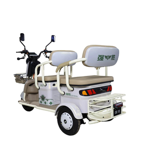 Bicicletta Elettrica a Tre <span class=keywords><strong>Ruote</strong></span> 48V 500W, Triciclo Passeggeri Omologato EEC, Mini Scooter Elettrico Chiuso a <span class=keywords><strong>3</strong></span> <span class=keywords><strong>Ruote</strong></span> - Product Image 5