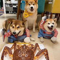 Costume d'Halloween en PET pour petits et moyens chiens et chats, tenue amusante et originale avec couteau factice et motif imprimé pour l'hiver