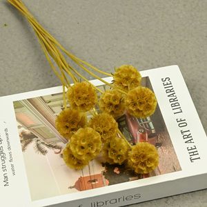 Vainas de Scabiosa Secas de Tallo Largo, Conservadas, para Decoración Floral de Bodas, Centros de Mesa y Relleno Floral - Product Image 3