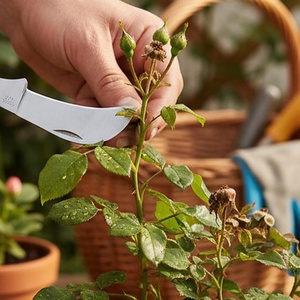 Cuchillo de Jardinería para Injertos, Cuchillo Multiusos de Bolsillo para Podar Plantas, Árboles Frutales y Florales - Product Image 3