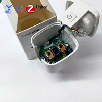 Modul Chipset Esp8285 dengan Flash 1MB untuk Firmware Tasmota Esphome, Firmware Smart Plug Kustom