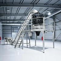 Balance de pesage automatique multifonctionnelle à 10 têtes, machine d'emballage pour dosettes de lessive