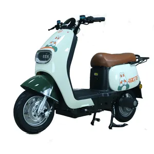 Factory Wholesale Electric City Scooter 1000W Powerful Motorcycle For Adult Use