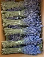 100% paquets de lavande séchée naturelle eucalyptus et coton pour la décoration de la maison et les arrangements floraux de Noël