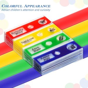 Lames préparées colorées de <span class=keywords><strong>niveau</strong></span> de base en plastique pour l'apprentissage des étudiants, quatre lames différentes pour l'enseignement de la structure cellulaire colorée - Product Image 1