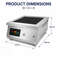 Cuisinière à induction commerciale 10 kW, 380 V, pour soupière, idéale pour hôtels, cantines et cuisines centralisées